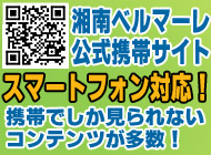 公式携帯サイト