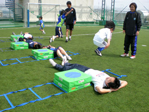oyako_cordination