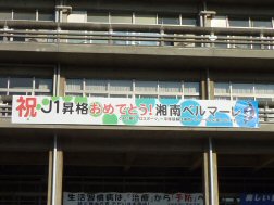 oiwai1