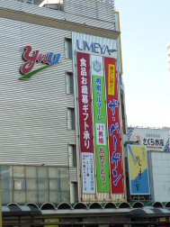 shukufuku4
