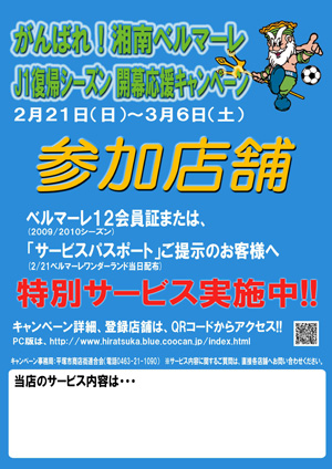 campain_poster