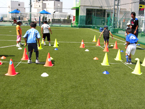 sports_cordination
