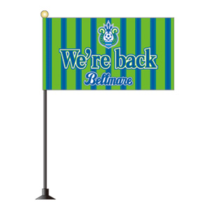 wb_mini_flag