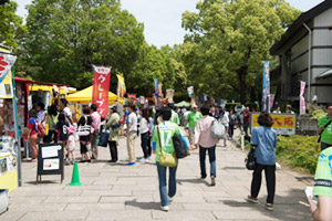 fp2_image