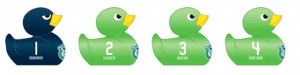 duck_01