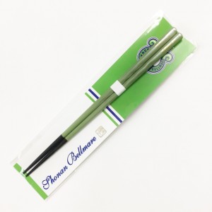 hashi_01