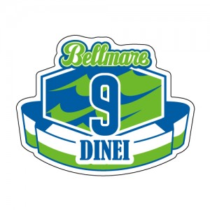 pin_9_01