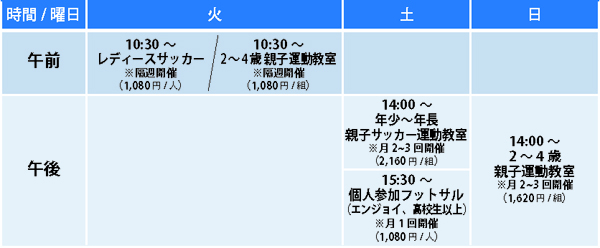 program