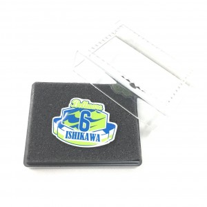 pin_6_01