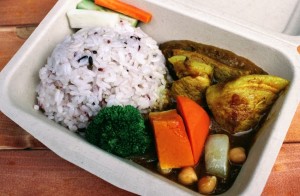 shantishonan_p_vege
