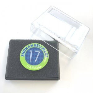 pinbadge17