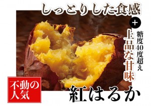 23_TheWILDFARM