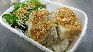 26_ichiban_tonbara