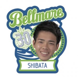30_shibata