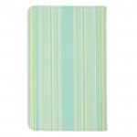 passport_case_stripe_light_green_02