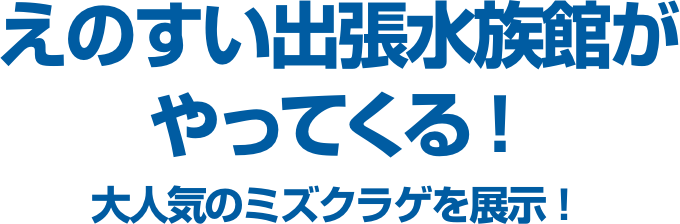 えのすい出張水族館がやってくる！大人気のミズクラゲを展示！
