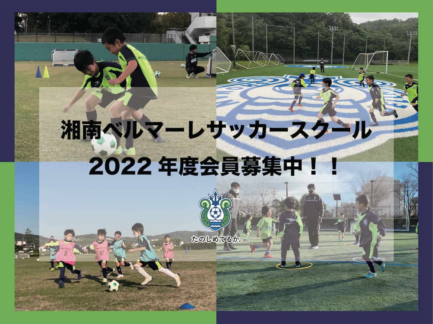 湘南ベルマーレ公式サイト 湘南ベルマーレ公式サイト