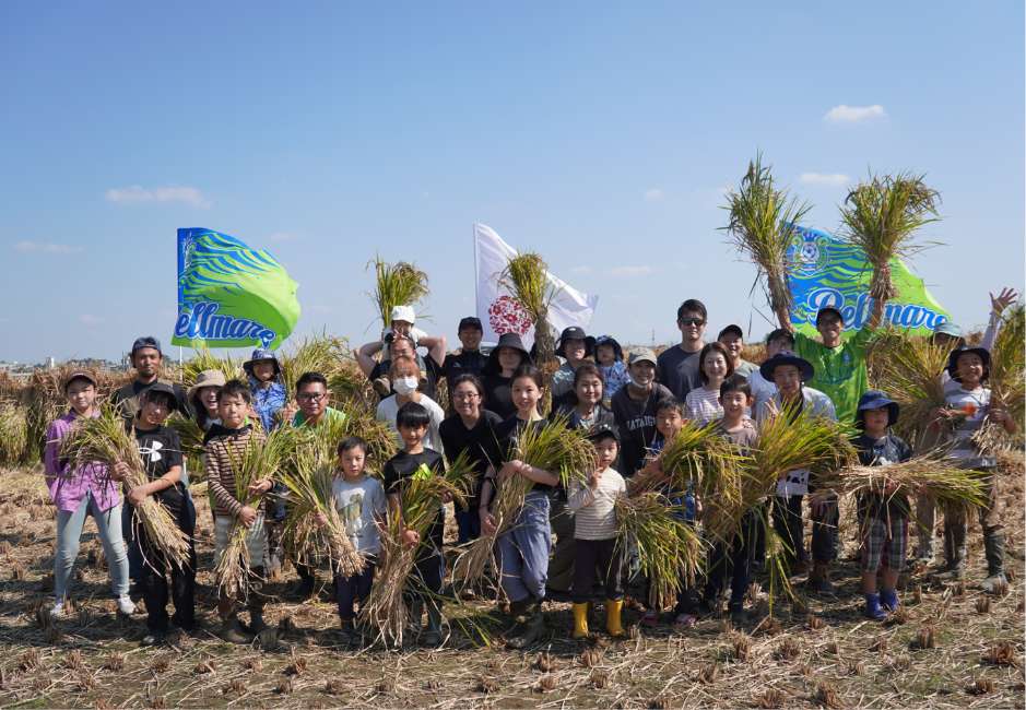 無農薬米作り体験会