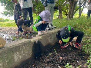 オペラグラスでの観察1