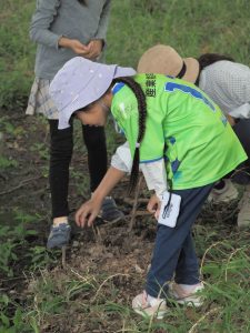 オペラグラスでの観察4(縦長写真)