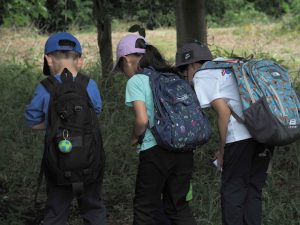 オペラグラスでの観察2