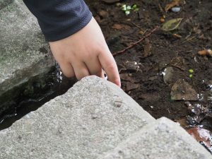 生きもの発見の瞬間2